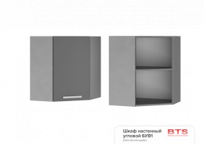 ШКАФ НАВЕСНОЙ УГЛОВОЙ 6УВ1 (600Х600Х720Х311) КГ Крафт в Ревде - revda.ok-mebel.com | фото